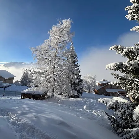 Rouge Ou Blanc Villard-Reculas